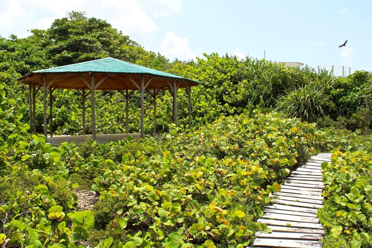 Great Huts Villa Boston Bay Kültér fotó